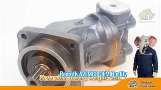 Calidad OEM A2FM63 Rexroth Serie 6 Motor fijo de pistón axial Precio de fábrica Envío Escaparate rápido