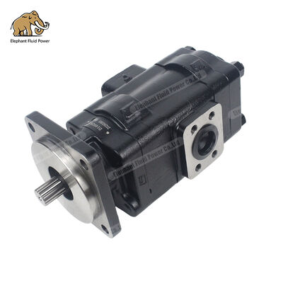 D149283 Alternativa compatible con bomba de engranajes de hierro fundido Parker | Perfectamente compatibles