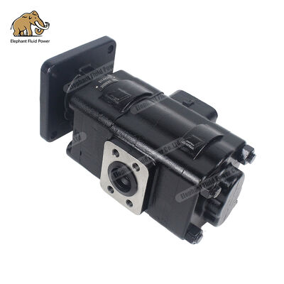 D149283 Alternativa compatible con bomba de engranajes de hierro fundido Parker | Perfectamente compatibles