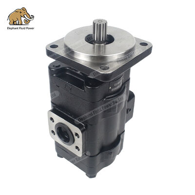 D149283 Alternativa compatible con bomba de engranajes de hierro fundido Parker | Perfectamente compatibles