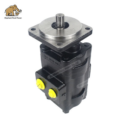 D149283 Alternativa compatible con bomba de engranajes de hierro fundido Parker | Perfectamente compatibles